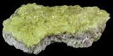 Lemon-Yellow Sulfur Crystals - Bolivia #51587-1